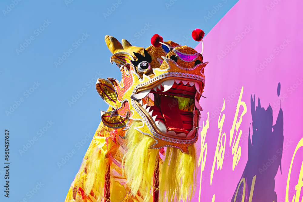 custom made wallpaper toronto digitalHead golden Chinese Dragon against blue sky during the celebration of Chinese New Year, low angle view