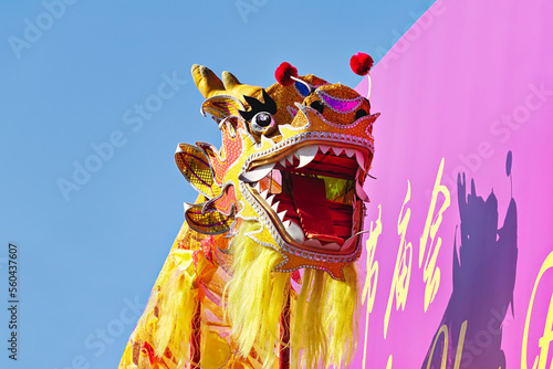 Wallpaper Mural Head golden Chinese Dragon against blue sky during the celebration of Chinese New Year, low angle view Torontodigital.ca