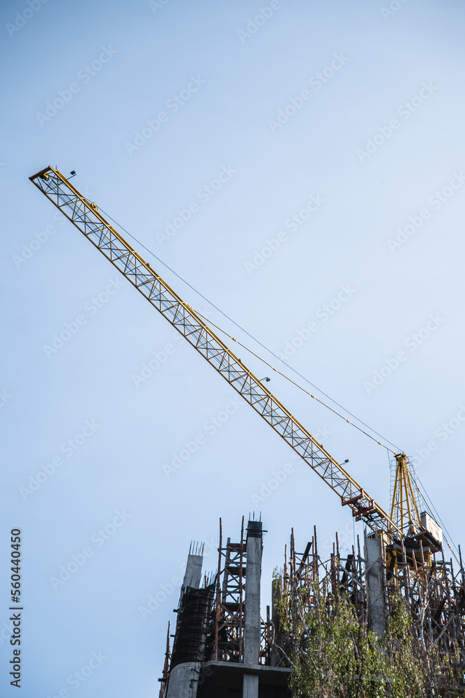 Crane builds a house against the background of green trees Crane builds a house against the background of green trees