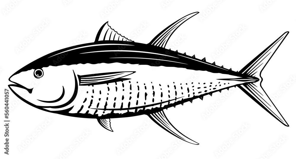 Yellowfin tuna from one side in black and white color, isolated