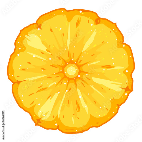 One fresh round pineapple cut slice, detailed piece of ananas, isolated