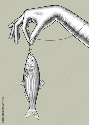 Vintage engraving stylized drawing of female hand holding on a hook a herring fish