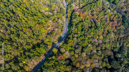 Aerial view over winding forest asphalt road, Road and green mountains in summer, Landscape with car on the roadway, trees in summer, Aerial View of a road on forest.