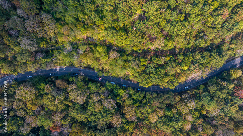 Aerial view over winding forest asphalt road  Road and green mountains in summer  Landscape with car on the roadway  trees in summer  Aerial View of a road on forest.