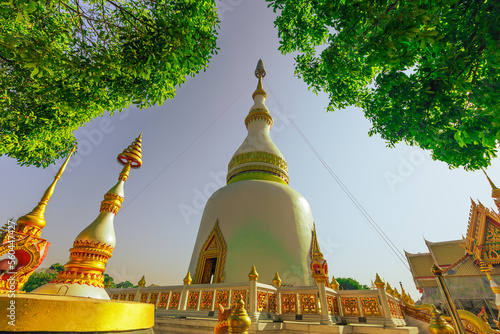 panoramic background of high mountain scenery, overlooking the atmosphere of the sea, trees and wind blowing in a cool blur, spontaneous beauty