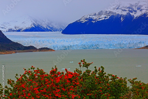 Perito Moreno Glacier in El Calafate, Patagonia of Argentina