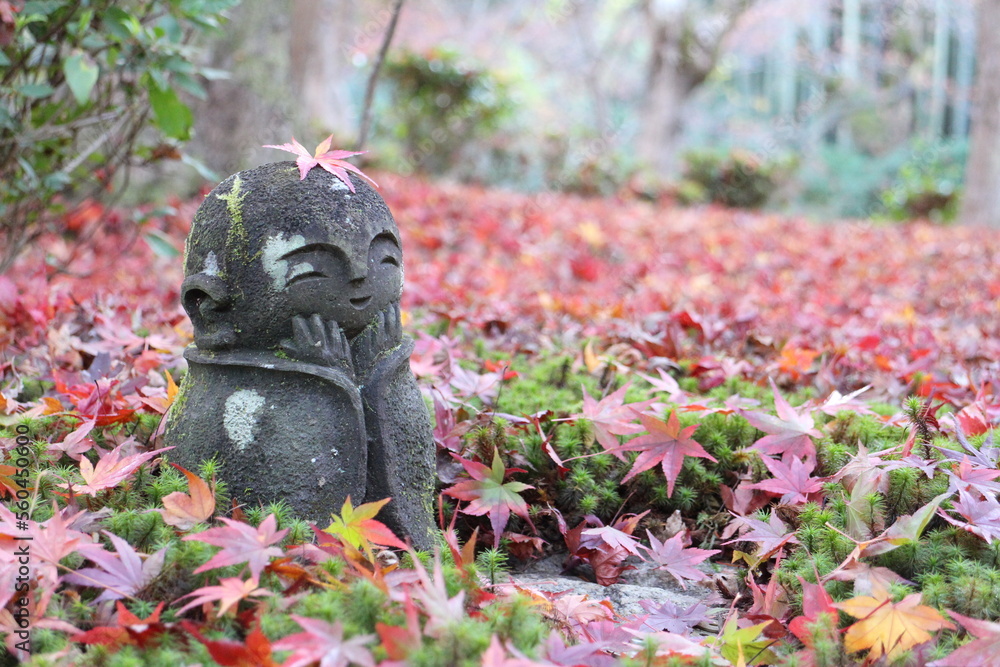 Autumn leaves and stone statue in Enkoji temple, Kyoto, Japan