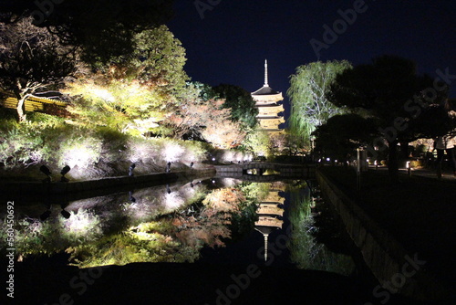 Autumn leaves and illumination in Toji temple, Kyoto, Japan