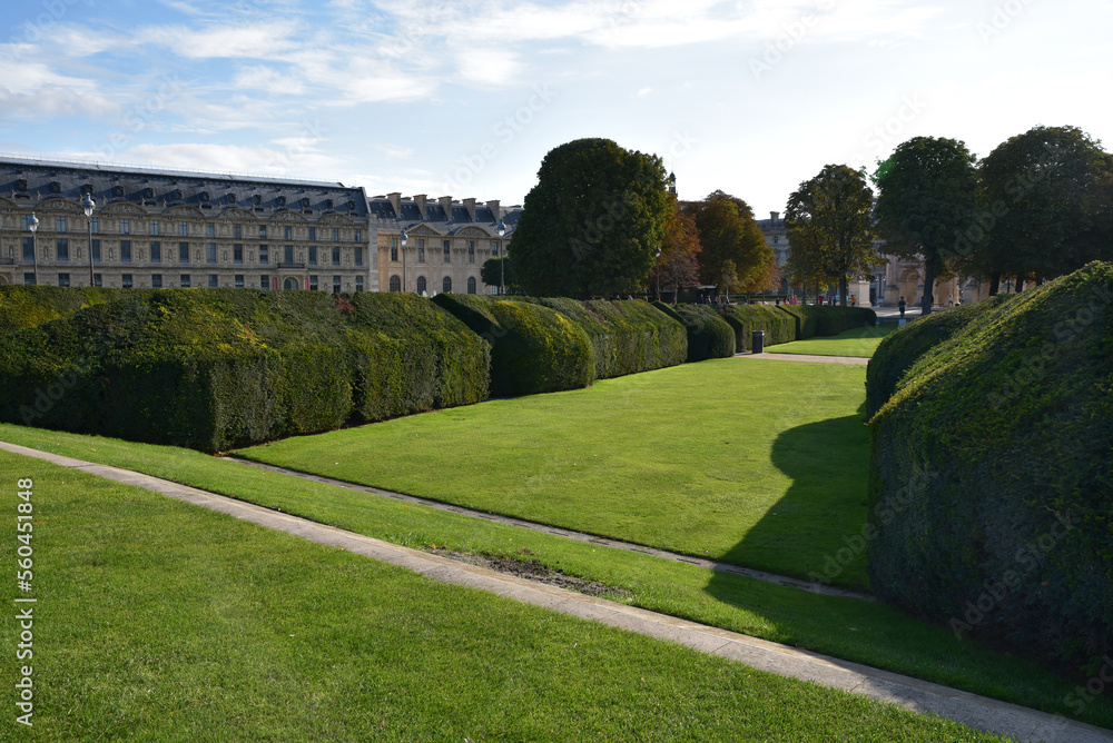 Topiaires du jardin des Tuileries à Paris. France