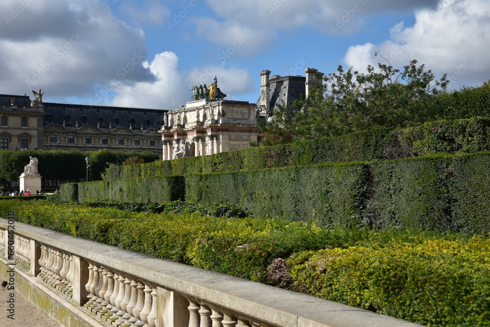 Bosquets du jardin des Tuileries à Paris. France