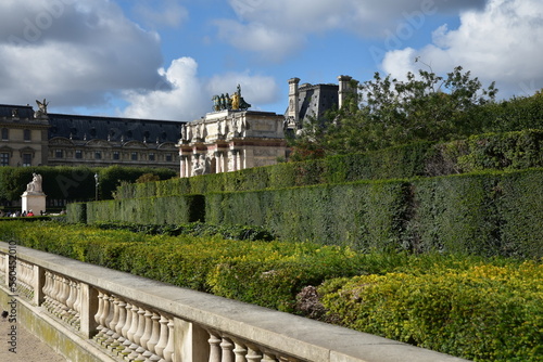 Bosquets du jardin des Tuileries à Paris. France