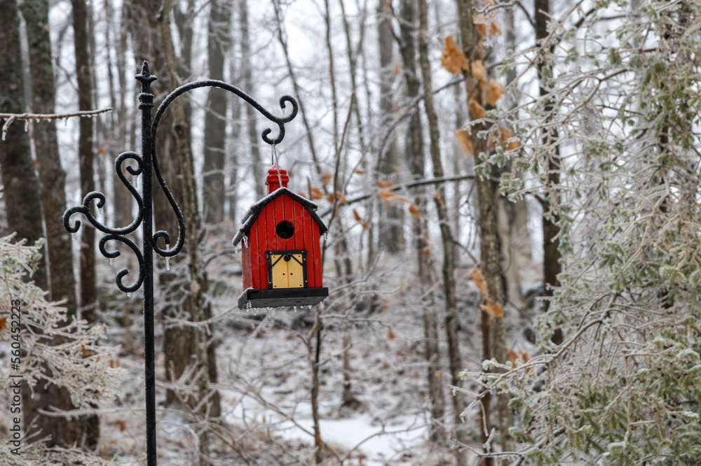 Red Bird house in winter in the Forest
