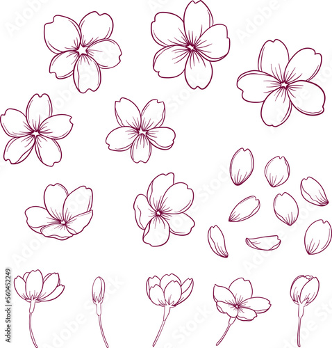 繊細な桜の線画イラストセット　ベクター素材