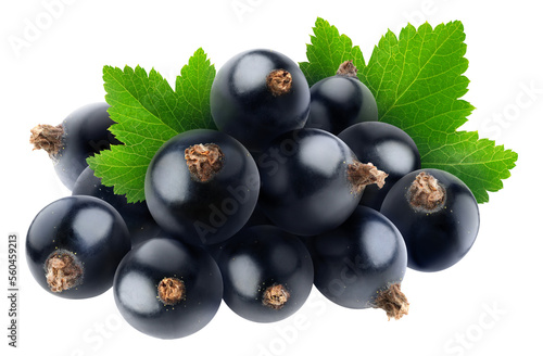 Photos Pile of fresh black currants with leaf cut out