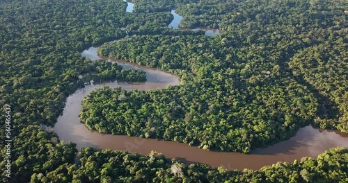 Morning in the Amazon Rainforest