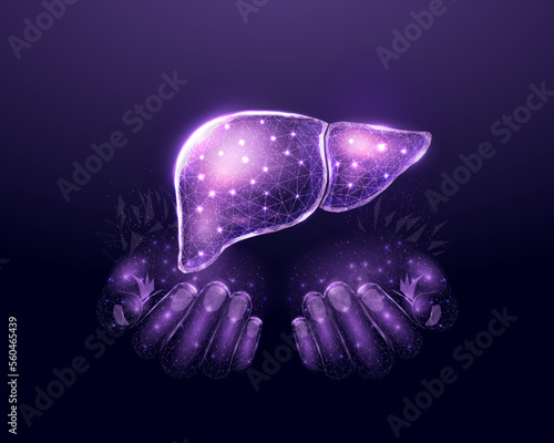 Two human hands are holds human liver. Support healthy liver concept. Wireframe glowing low poly design on dark blue background. Abstract futuristic vector illustration