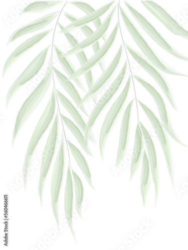 Palm branches watercolor green leaves elements. Collection botanical vector isolated on white background suitable for background, poster printing, postcards, textiles
