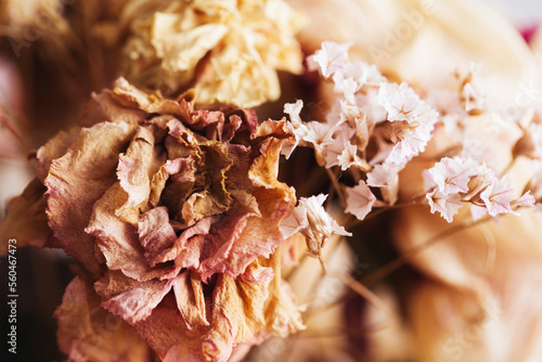 Dry flowers bouquet. Warm color flowers. Dried rose background. Aristic autumn floral texture. Beautiful shallow depth of field dry flower composition. photo