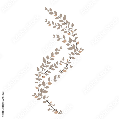 Set of dry leaves on PNG White transparent background. Stock vector illustration. 01 photo