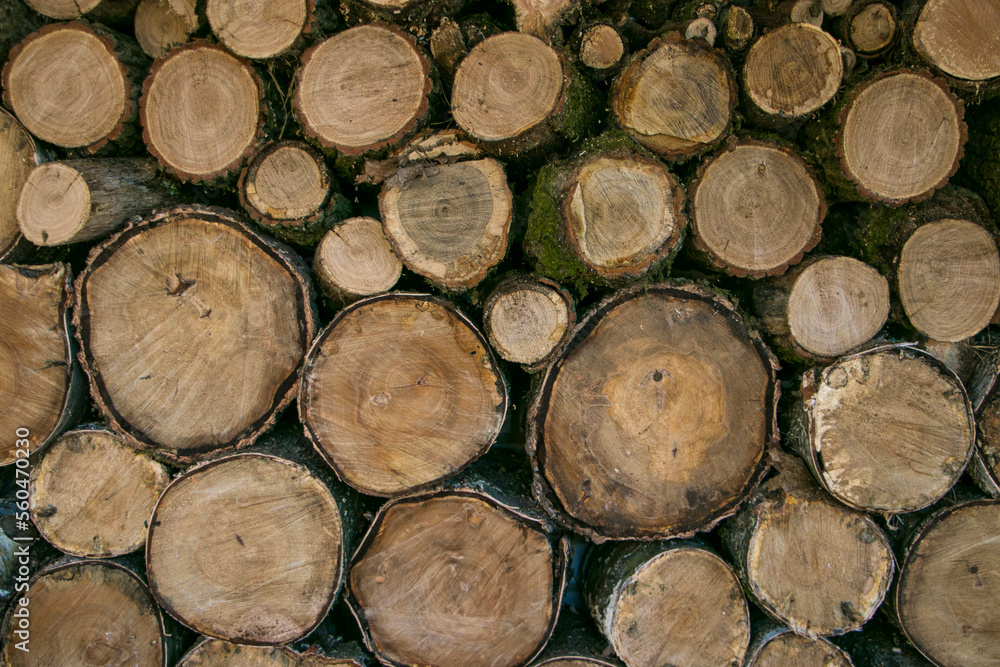 Fototapeta premium Wooden background. Wooden lumber for the background. Wooden texture.