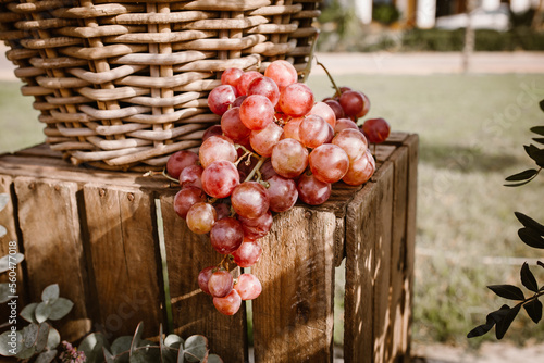 De la Uva al vino