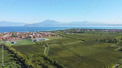 garda lake aereal shot vinegard photo