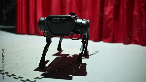 robot dog comes close to the camera looks and leaves at the robotics exhibition photo