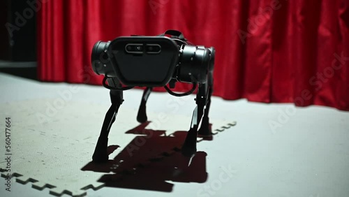 robot dog comes close to the camera looks and leaves at the robotics exhibition