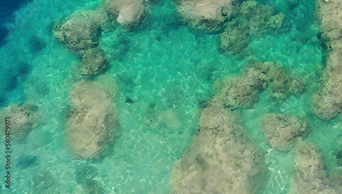 砂浜と珊瑚礁の風景 ドローン 空撮