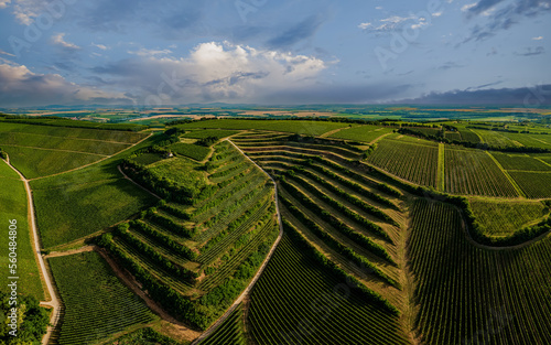 Villany wineyards. This is the one of famous wine regions in Hungary. This amazing geolgical formation name is devil's ditch. Hungarian name is ordogarok. photo