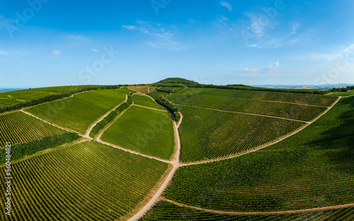 Villany wineyards. This is the one of famous wine regions in Hungary. This amazing geolgical formation name is devil's ditch. Hungarian name is ordogarok. photo