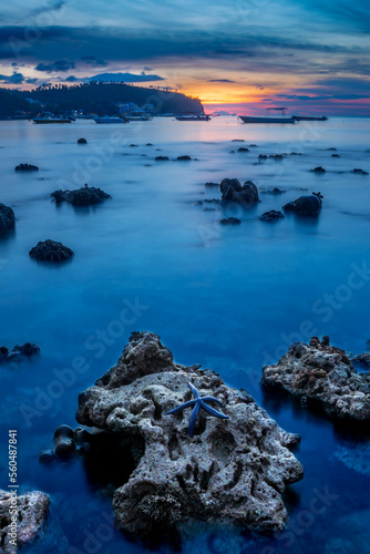 Starfish on a Coastal rocky beach landscape at sunset, Batangas, Calabarzon, Philippines photo