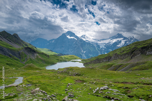 Bachalpsee and the Swiss Alps in the background on a cloudy summer day