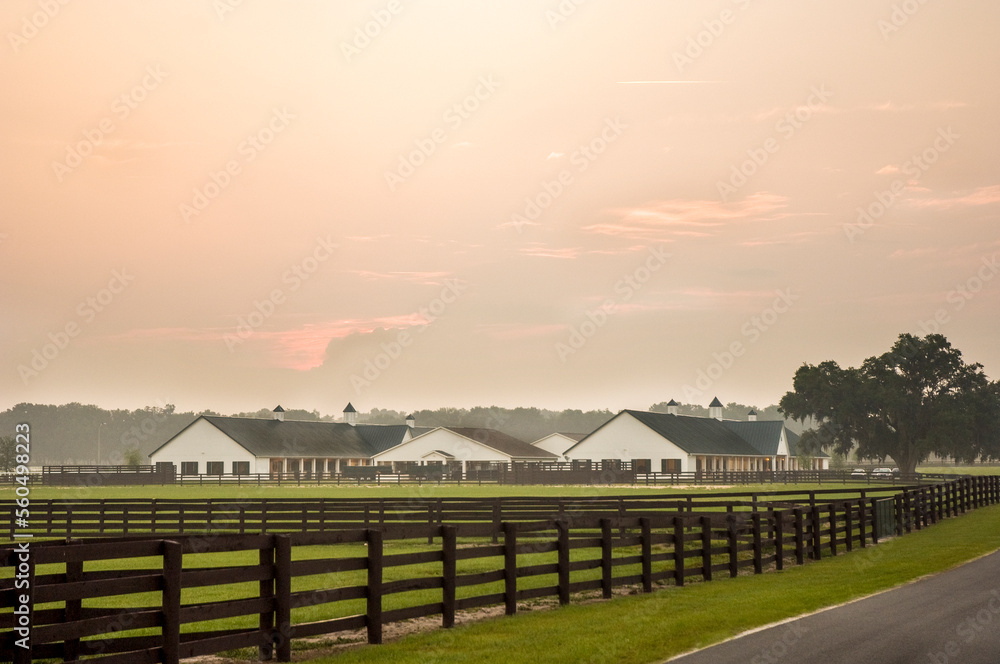 Sunrise over Thoroughbred Horse training facility barns and fenced paddocks