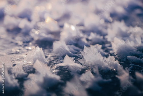 The crystalls of hoarfrost on the ice surface.  photo