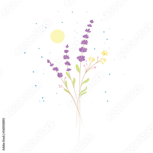 Vector wild flowers. herbs  herbaceous flowering plants  blooming flowers  shrubs isolated on white background. Hand drawn detailed botanical vector illustration.