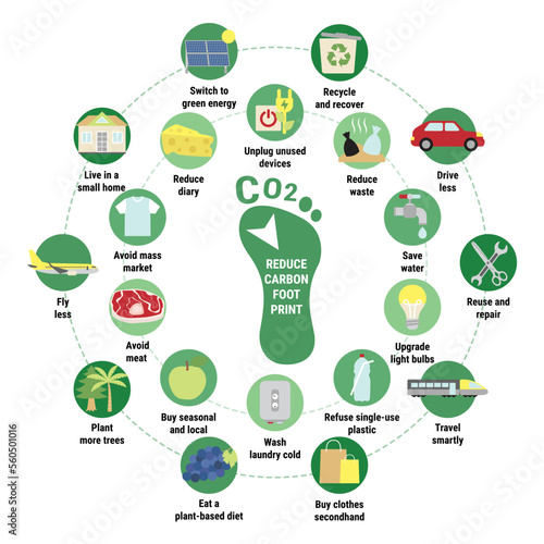 Carbon footprint circle infographic. Tips for reducing your personal carbon footprint. How to decrease CO2e infographic. Save the planet, environment improvement concept. Flat vector illustration.