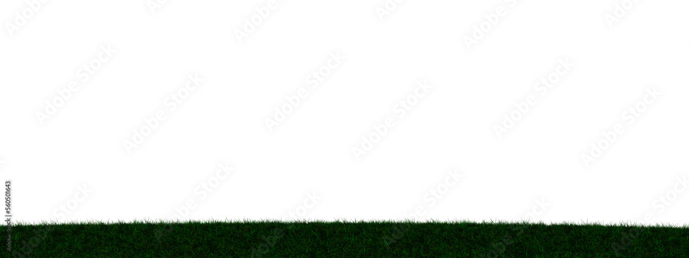 Grass transparent illustration background field Grass transparent illustration background field