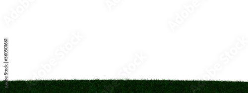Grass transparent illustrat...