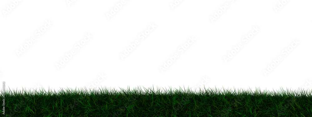 Grass transparent illustration background field Grass transparent illustration background field