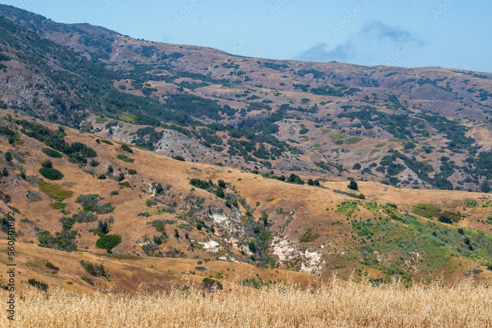 Fototapeta premium Channel Islands National Park, Santa Cruz Island off the coast of California, USA