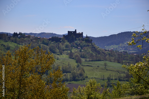 Le Puy-en-Velay  France - May 5th 2019   The Ch  teau de Bouzols  an old fortified castle  whose origins date back to the 9th century. It s a stone castle that looks like a dark fortress in nature.