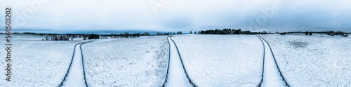 Three fenced paths rolling across the hills of a Kentucky horse farm.