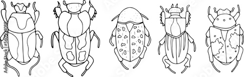 Beetles doodle icons set. Collection of sketches of different beetles. Hand drawn vector illustration. traced image.
