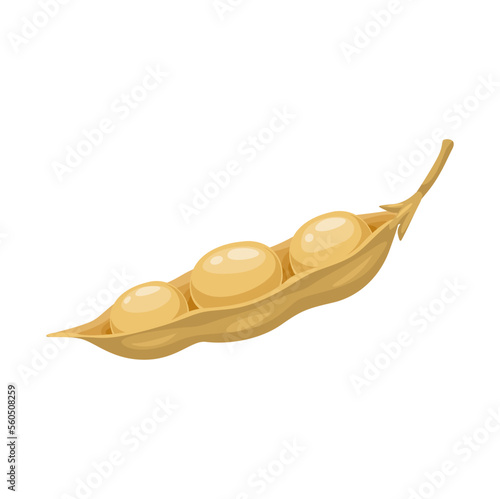 Raw soy, isolated dry soybeans pod. Natural food, vegan diet nutrition protein, cartoon vector ripe legume. Soybean seed farm plant harvest