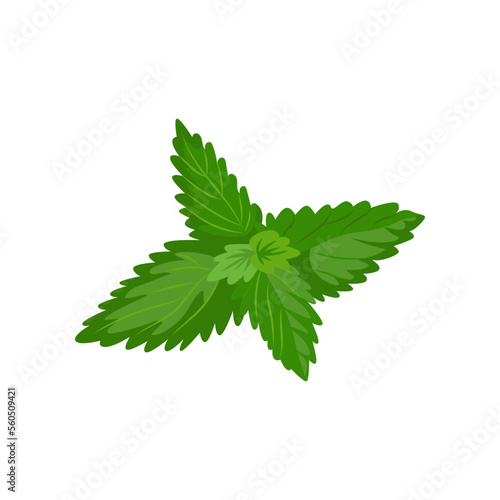 Mint leaves for creating your own ice cream. Mint leaf cartoon illustration. Summer, sundae concept