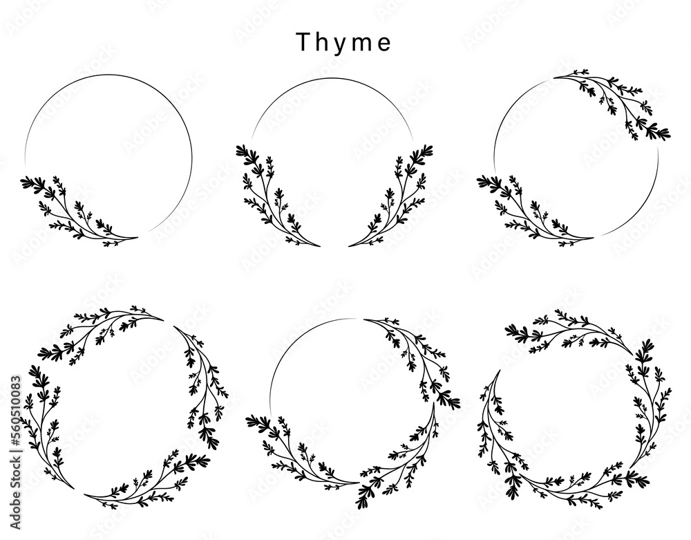 6 Thyme wreaths. Floral ink style.
