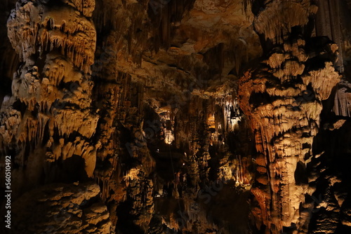 The Grotte des Demoiselles is a large cave located in the H  rault valley of southern France  near Ganges