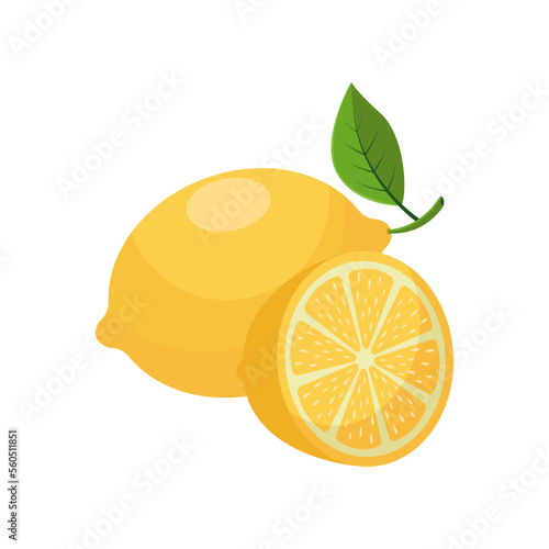 Lemon vector illustration. Drawing of product with sour taste isolated on white background. Anatomy, physiology concept