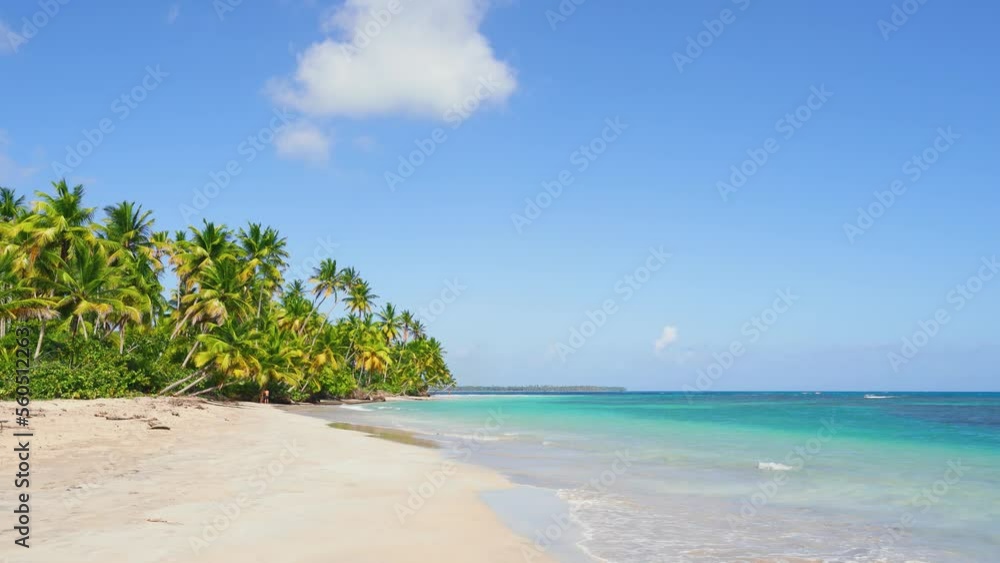 Paradise palm beach in the Maldives. Tropical landscape of summer scenery, white sand with palm trees. Luxurious vacation travel. Exotic beach landscape. Amazing nature, rest, freedom nature template. Paradise palm beach in the Maldives. Tropical landscape of summer scenery, white sand with palm trees. Luxurious vacation travel. Exotic beach landscape. Amazing nature, rest, freedom nature template.